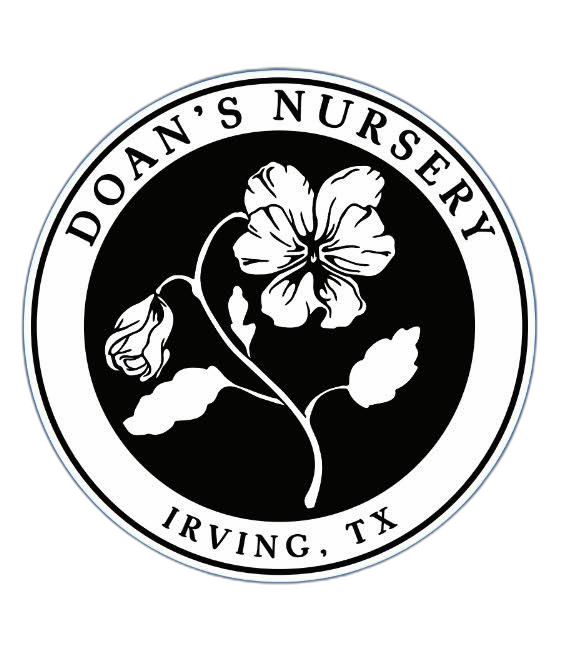 Doan’s Nursery Inc